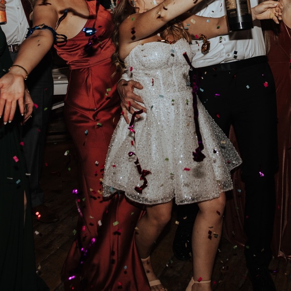 By watters palmier dress - Picture 5 of 5